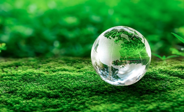 Climate Change and India: Challenges, Policies, and the Road Ahead
